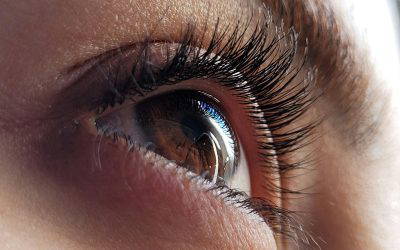 How to Build Healthy Eyebrows & Lashes: Expert Tips